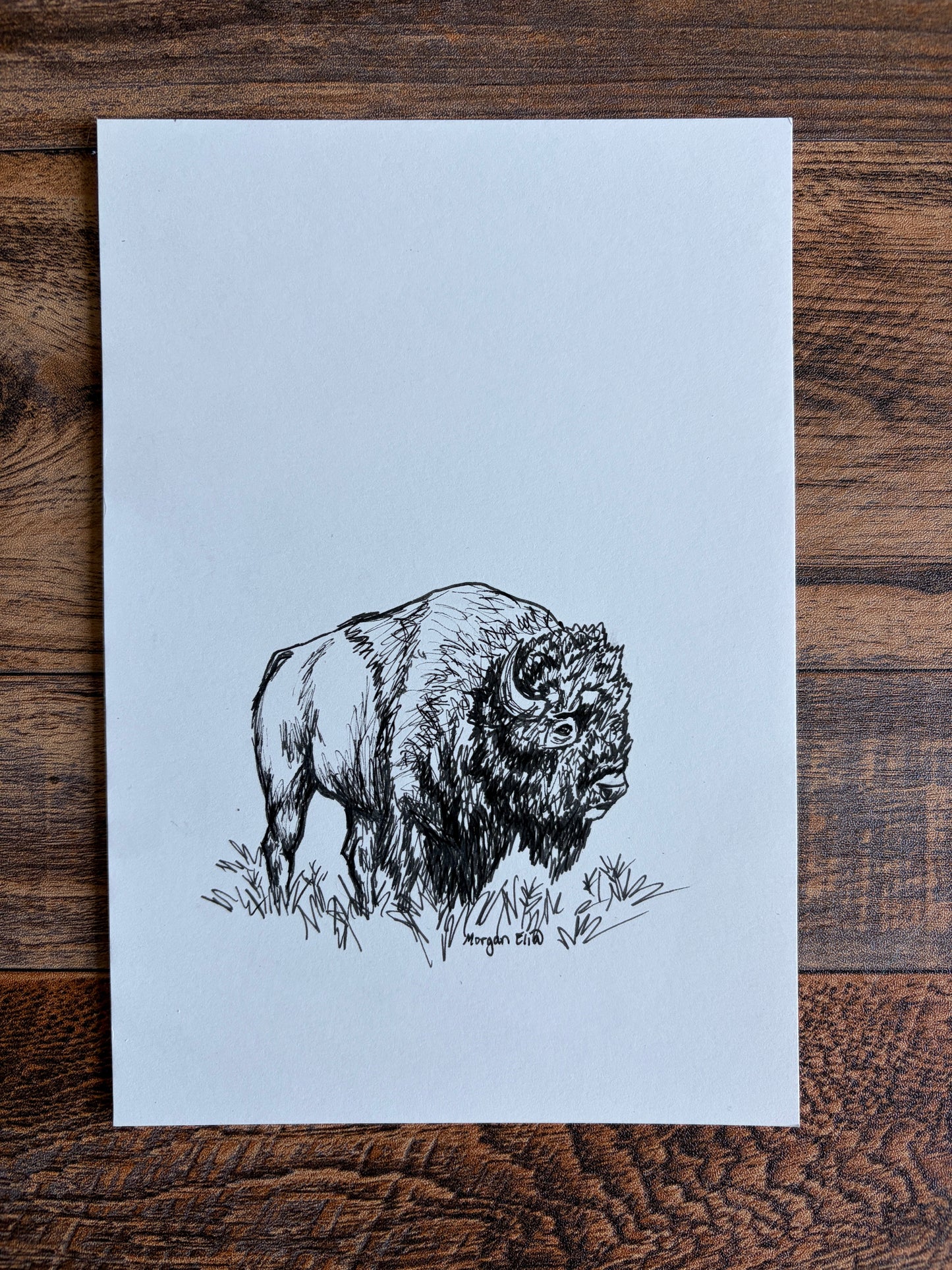 "Head of the Herd" Original Bison Sketch