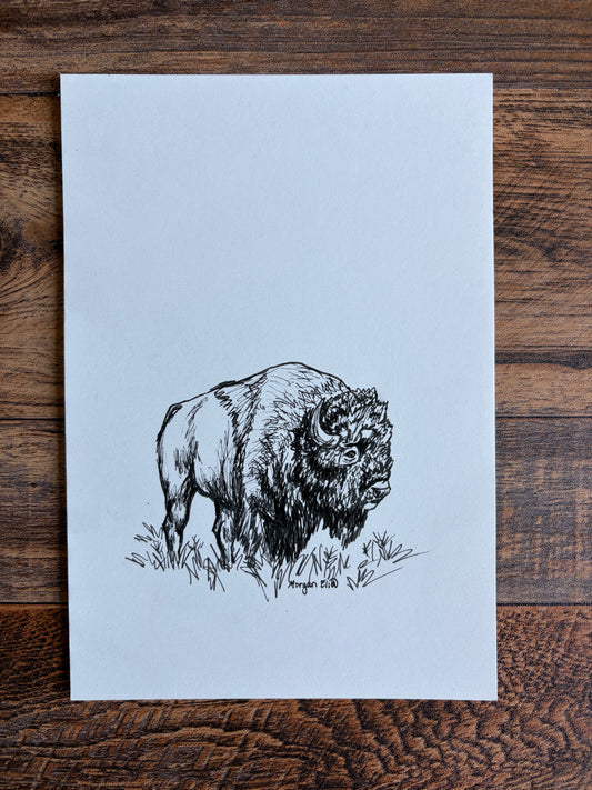 "Head of the Herd" Original Bison Sketch